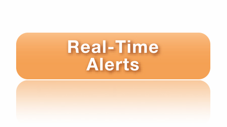 Real-Time Alerts