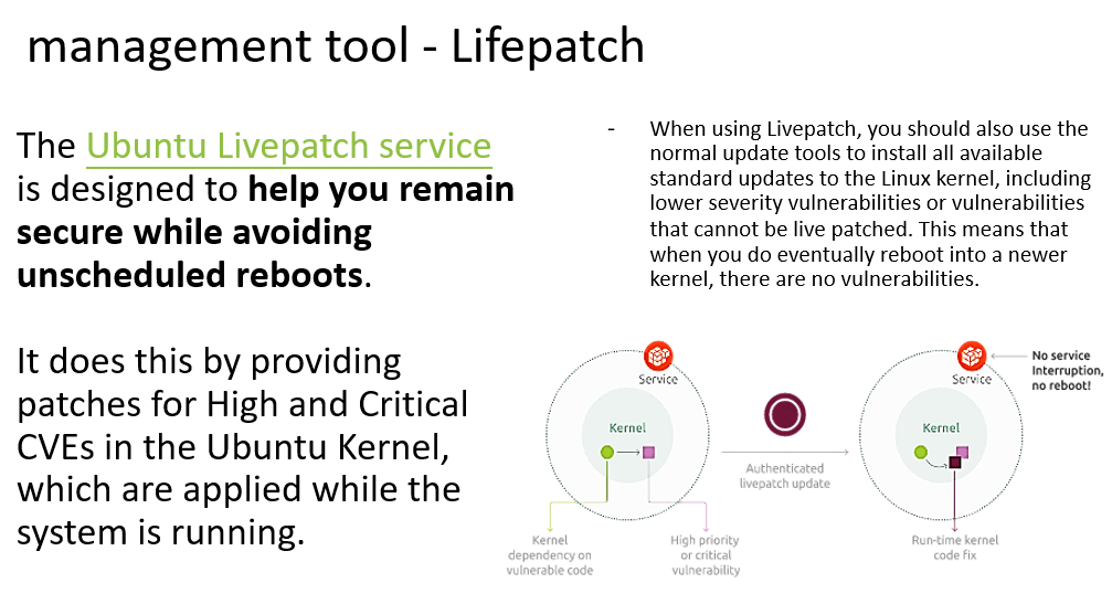 Lifepatch