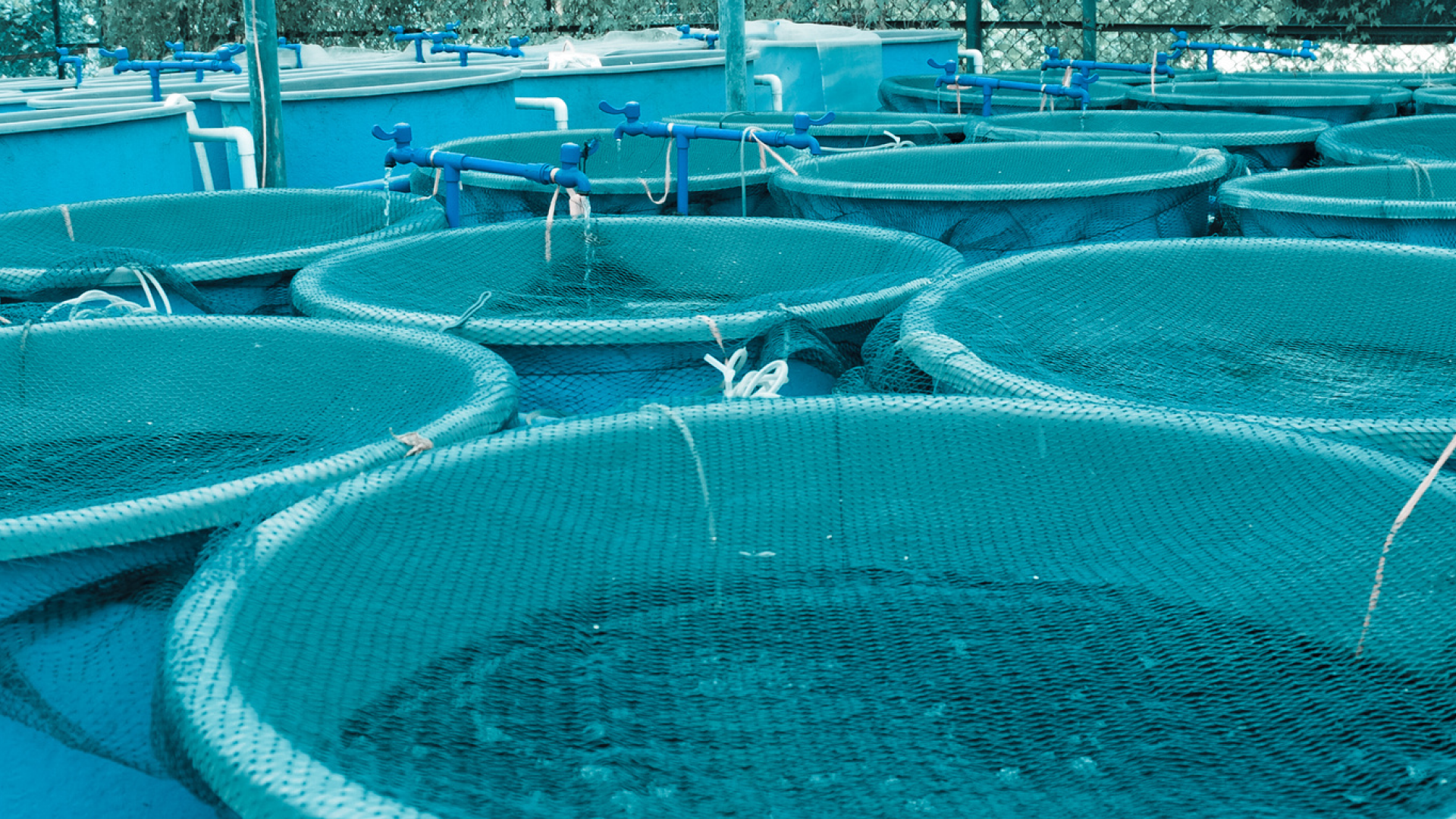 Enhancing Fish Aquaculture Farm Management with Wireless Remote Control Solution
